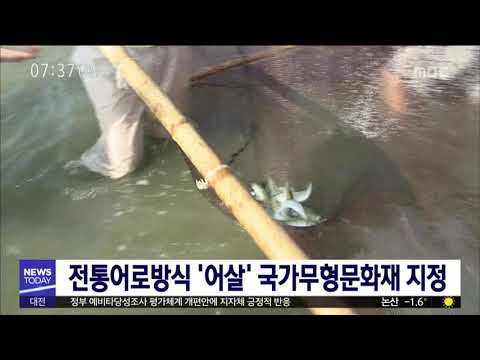 [대전MBC뉴스]전통어로방식 '어살' 국가무형문화재 지정