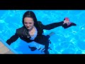 Beautiful lady in suit and blue shirt, got wet fully clothed in swimming pool