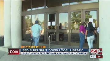 Beale Library bed bugs
