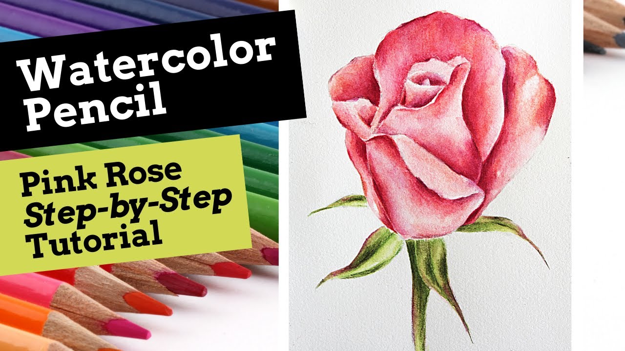 Must Know Watercolor Pencil Tips - Erika Lancaster- Artist + Online Art  Teacher