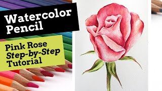 How to Paint a Pink Rose Using Watercolor Pencils