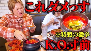 【大食い】韓国料理店が作る裏メニュー『激辛スンドゥブ』が想像の遥か上を超えた激辛でぞうさんKO寸前！？【ぞうさんパクパク】【ペゴッパヨ】