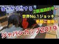 【競馬予想】愛犬が予想するジャパンカップ2019　世界No.1騎手到来！