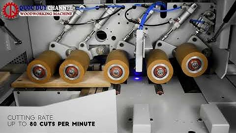 Máy cắt khuyết tật CFS-100 I Máy cắt phôi tự động