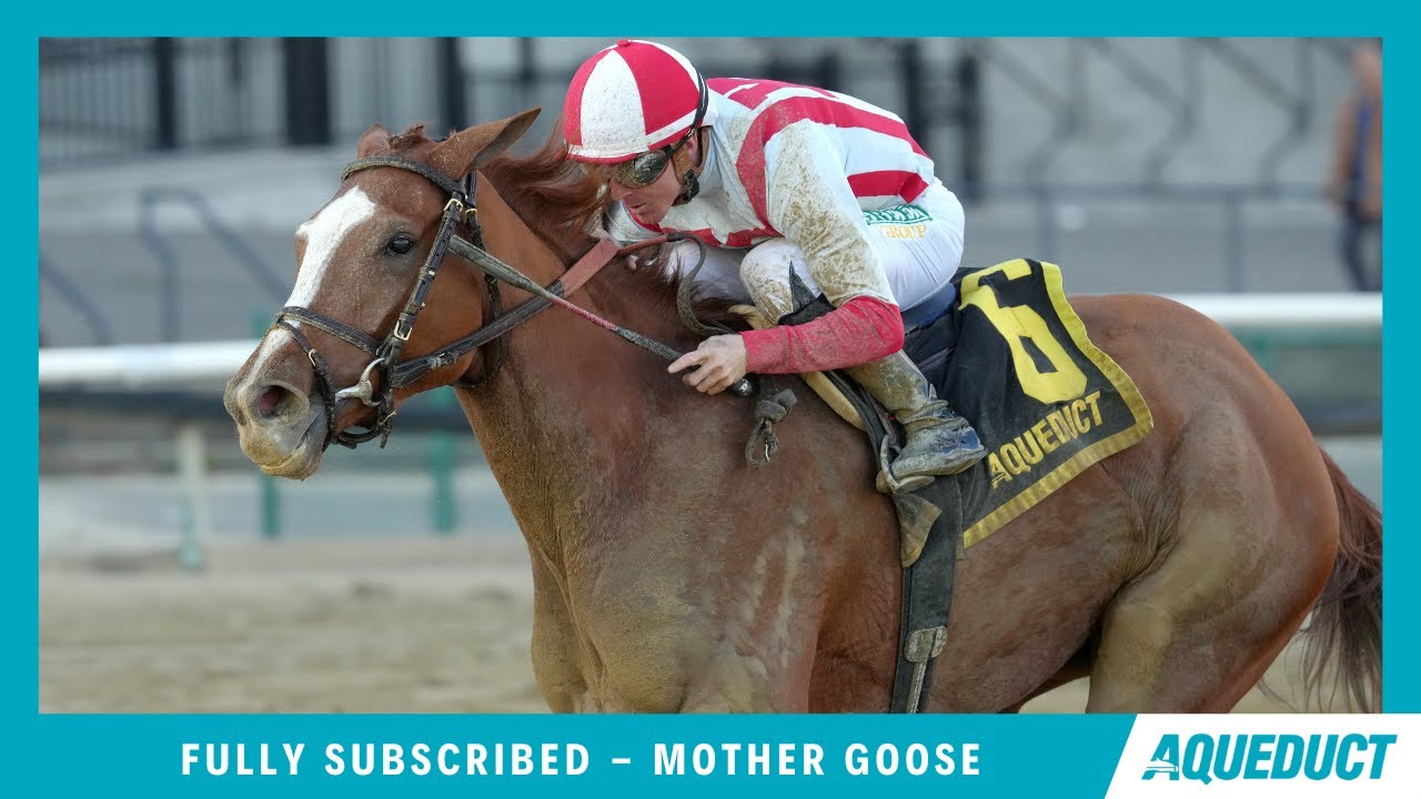 Полная подписка — 2025 — Mother Goose