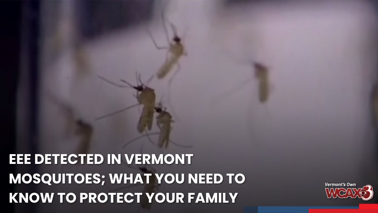 EEE detected in Vermont mosquitoes; what you need to know to protect