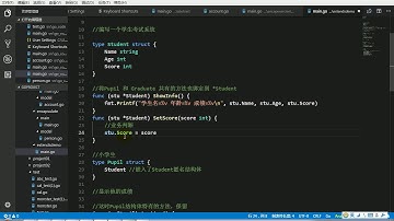209 尚硅谷 Go核心编程 继承快速入门应用实例