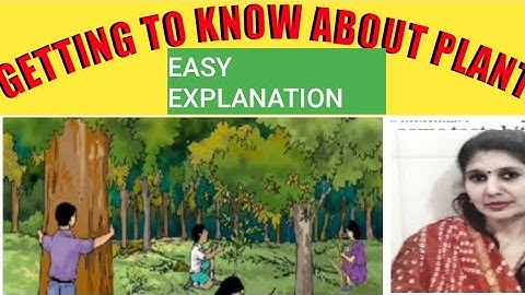 Getting to know plants |6th class science chapter 7|ncert |cbse |hindi explanation |part 2