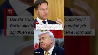 Donald Trump i quan aleatët “budallenj”/ Rutte: Aleatët janë ata që po punojnë për zgjidhjen e krizë