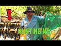 TRAPPING CRAYFISH & SPEERING CRAYFISH Catch And Cook