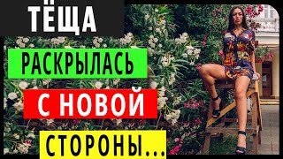 Теща и Зять - Двойное притяжение. Интересные истории из жизни. Аудио рассказы