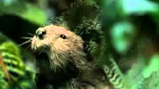 Xbox - work less play more - weird commercial