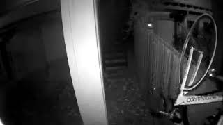 Bike thief