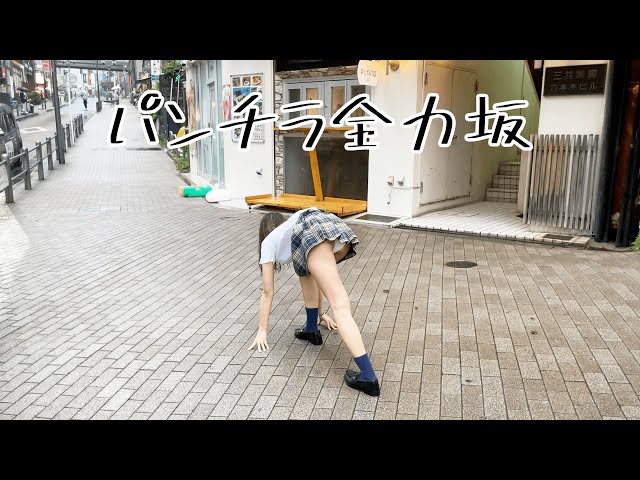 パンチラ全力坂 in 芋洗坂 Panchira Zenryaku Zaka in Imoarai Zaka class=