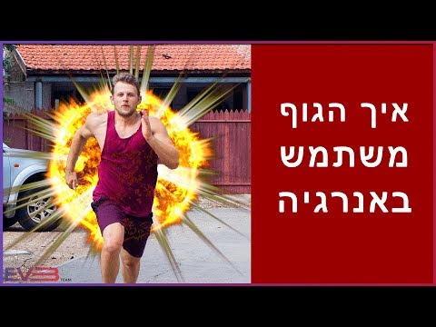 מערכות אנרגיה בזמן פעילות גופנית