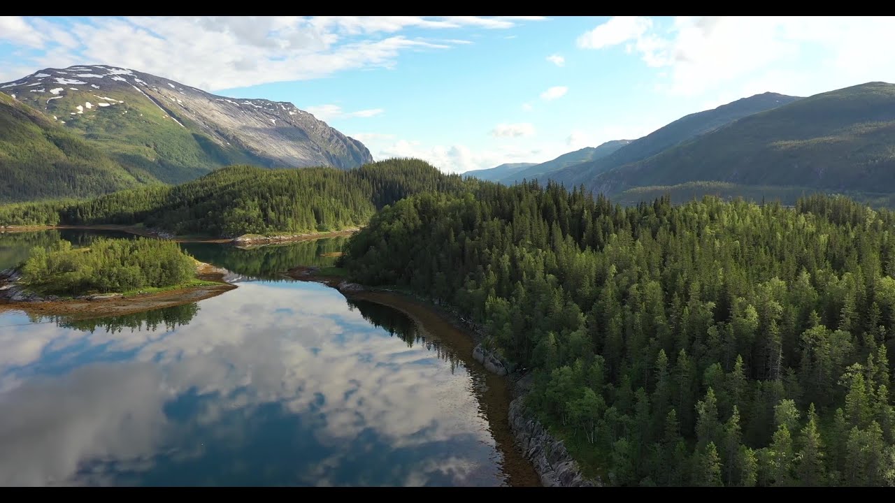 Our SIGNA™ MR vision: Sustainability in MRI with equitable access for any patient and any user