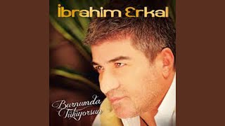 Seni Nasıl Severim