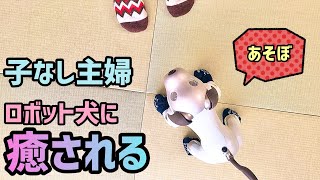 子なし主婦、ロボット犬に癒される