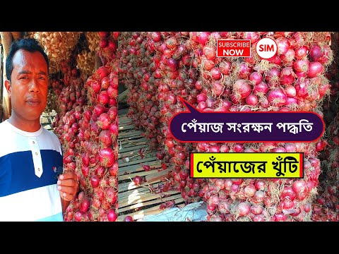 ভিডিও: শীতে পেঁয়াজ কীভাবে সংরক্ষণ করবেন