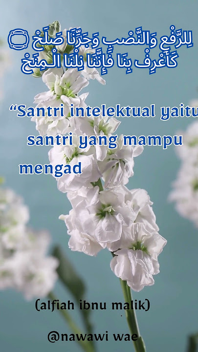 kata kata mutiara kitab alfiah ibnu malik