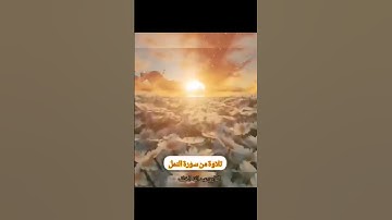 #القرآن_الكريم #تلاوة_خاشعة #اكسبلور #ماهر_المعيقلي #ياسر_الدوسري #تلاوات #لايك #ترند #قرآن #تيك_توك