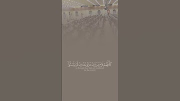 سورة الاحقاف قارئ رعد بن محمد الكردي مسجد بهشت
