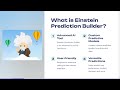 Beginners' Introduction to Einstein Prediction Builder: A Guide to Salesforce’s AI Predictive Tool
