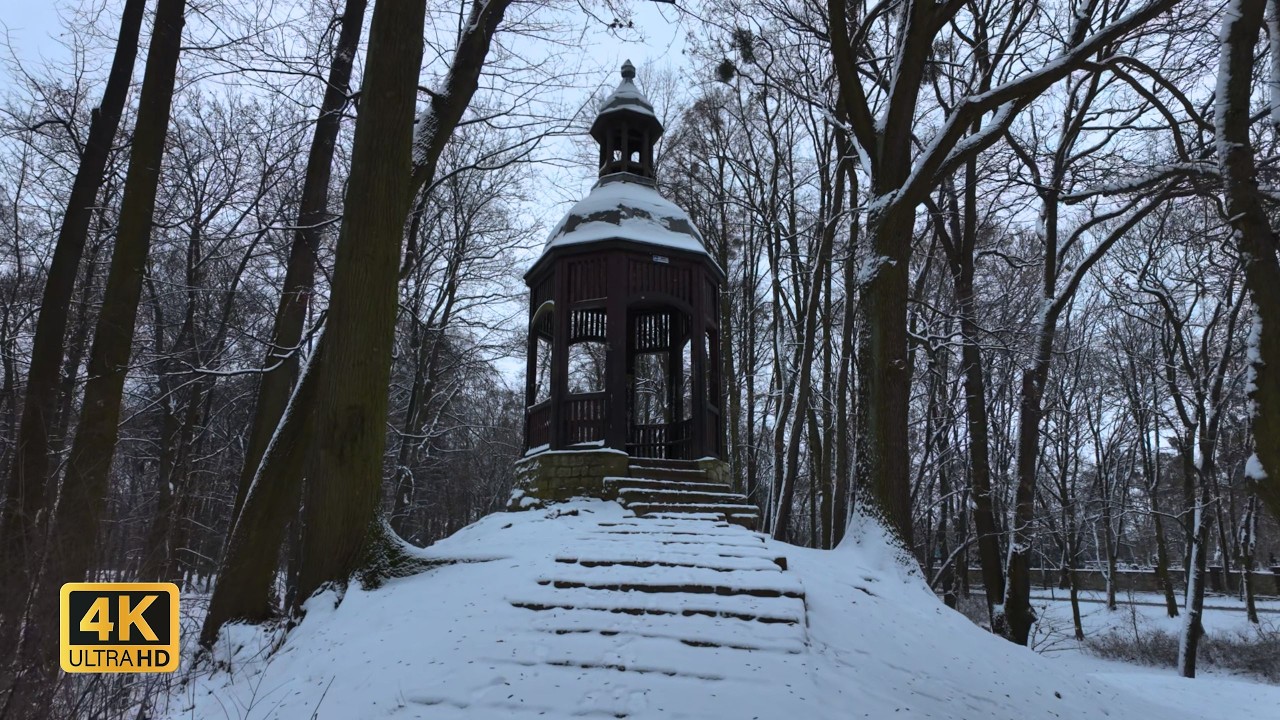 Winter Morning in the Park | Tarnowskie Góry, Poland | 4K