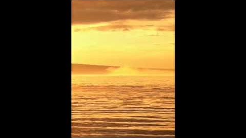 Juggernaut Freestyle