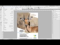 Malayalam Indesign Tutorial Part 1