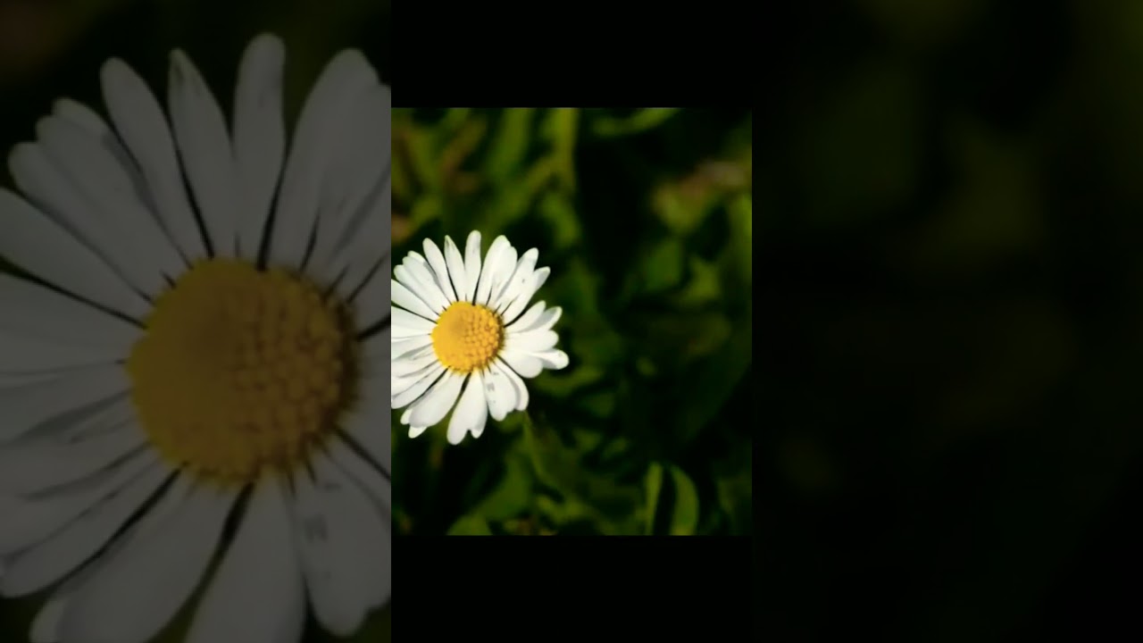 Timelapse background music no copyright | No Copyright music 