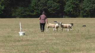 Download Lagu Ceri Rundle with Moel Dan at Shabfest 2019 MP3 Download Lagu Ceri Rundle with Moel Dan at Shabfest 2019 MP3