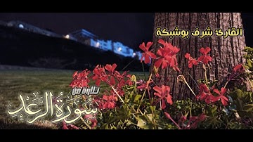 تلاوة خاشعة بصوت القارئ شرف بوشبكة
