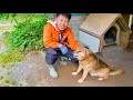 老犬ポチをお迎えする覚悟について