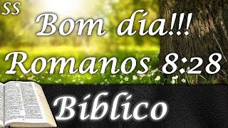 Bom Dia! Mensagem bíblica cheia de luz para começar o dia! WhatsApp/Facebook screenshot 5