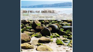 Shade (RafleSTone Remix) Net Worth