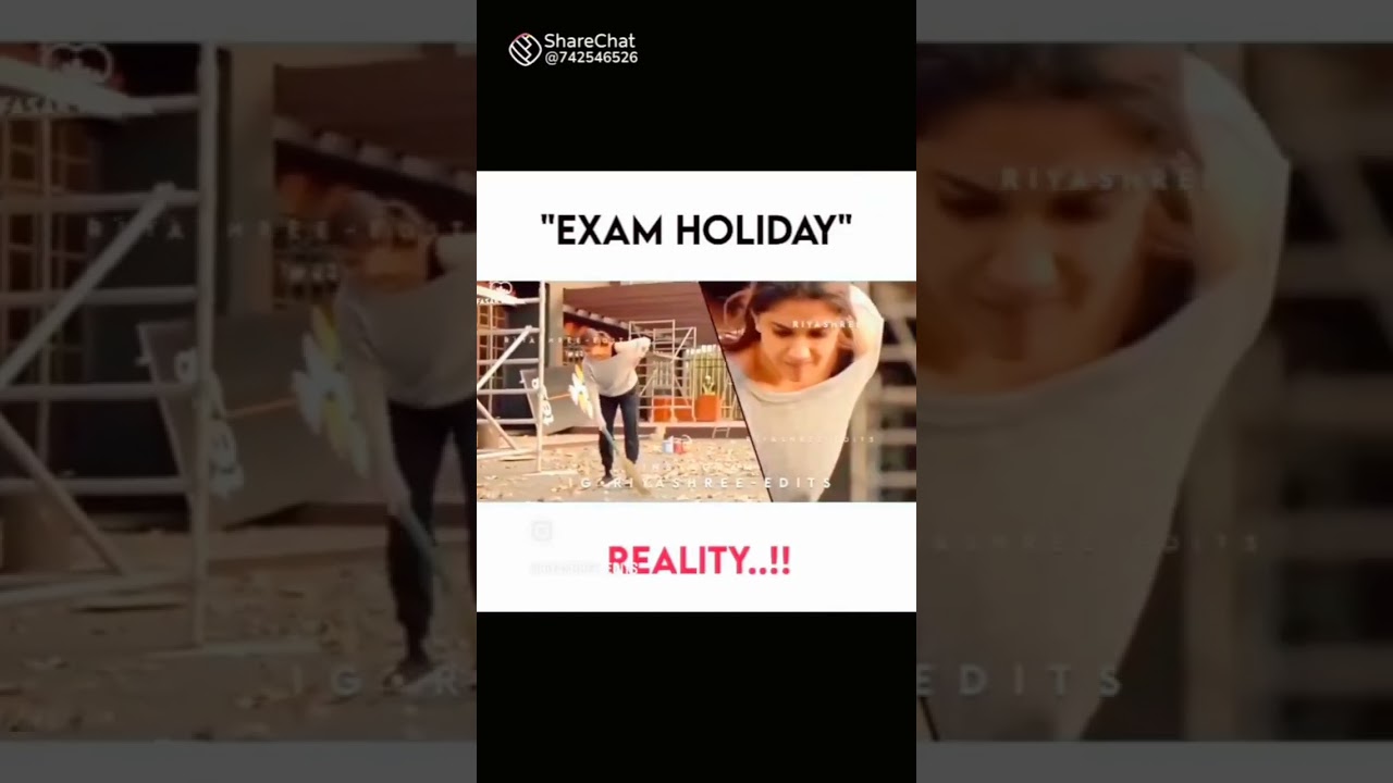 Exam holiday expectations vs reality 