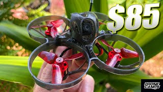 BEST BEGINNER DRONE for $80!!! - Eachine UZ65 Brushless Drone - REVIEW & FLIGHTS