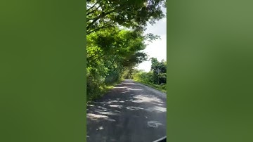 Perjalanan ke pelabuhan pomako Timika papua ,,,sunyi sepi ya😂