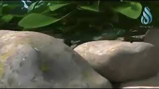 Othu Pidichaal Malayum Poorum