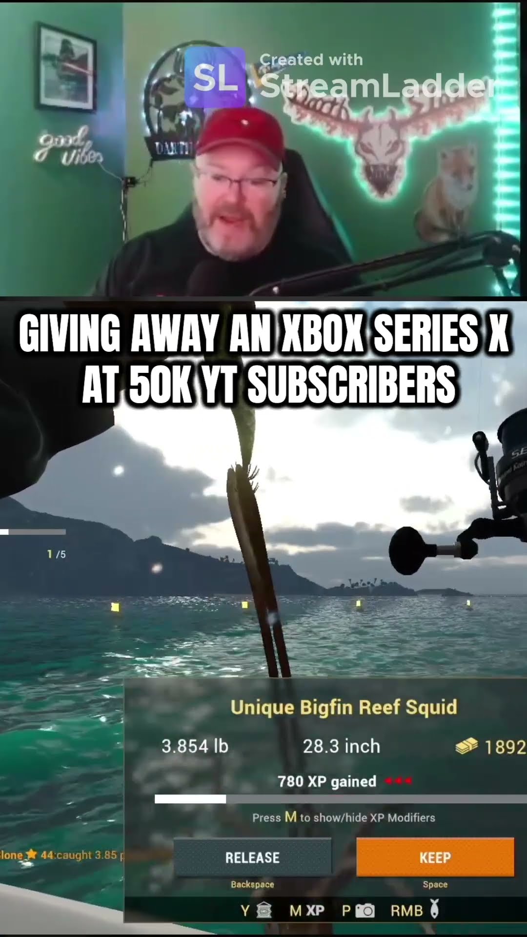 unique squid