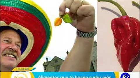 ¿Qué alimentos le hacen sudar menos?