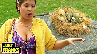The Most Unfortunate Bird’s Nest Accident Ever! | Just Pranks