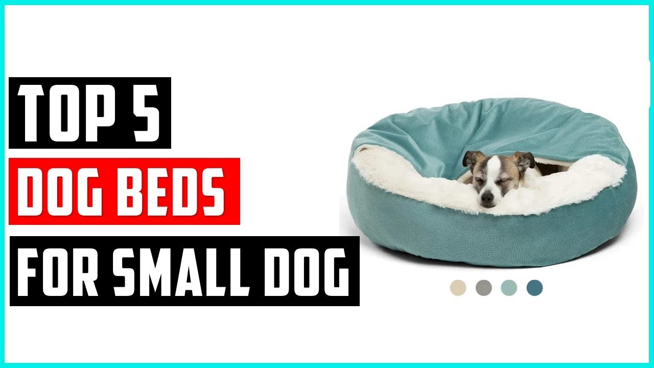 Best dog beds for small dog On Aliexpress Top 5 Dog Beds Review YouTube