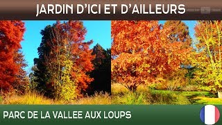 Jardins d'ici et d'ailleurs - Parc de la Vallée-aux-Loups - Chatenay-Malabry - France 🌲