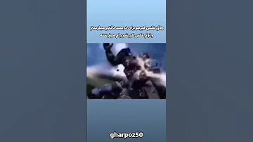 شیمیل 