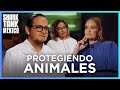 Una lucha contra la crueldad animal en los laboratorios | Shark Tank México