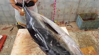 Tuna Fish 20 KG $200 Cutting by Primitive Way। Fresh Tuna Fish Cutting by Knife। Skilled Fish Fillet