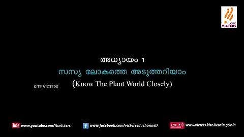 KITE VICTERS STD 5 Basic Science Class 01(First Bell)