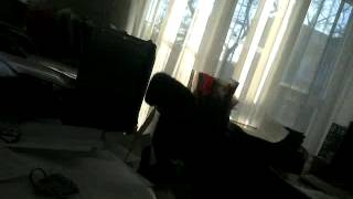 13. 02. 15г. Подала зам. директору ОШ 9 заявление на получение копии трудовой книжки.